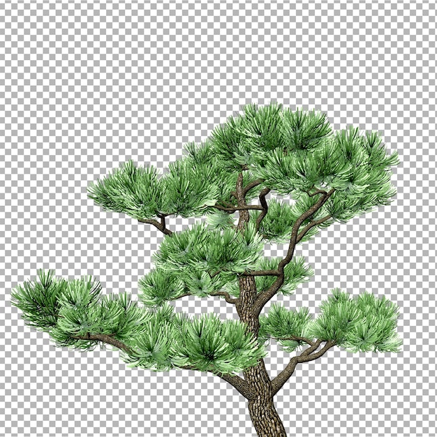 Un disegno di un pino con foglie verdi