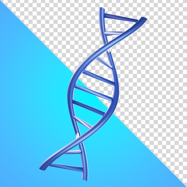 Un filamento di DNA blu e bianco, un filamento di DNA blu e una linea blu su sfondo blu.