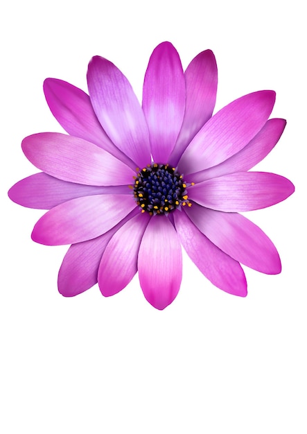 un fiore viola con un centro blu e un centro giallo