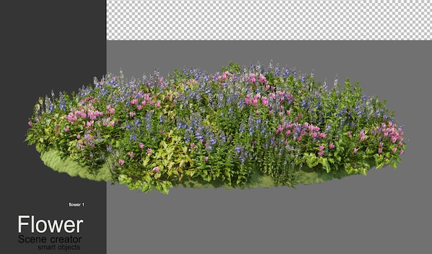 Un giardino con una varietà di fiori