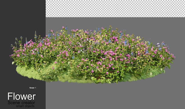 Un giardino con una varietà di fiori