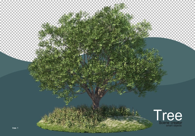 Un grande albero in mezzo al campo