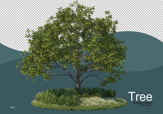 Un grande albero in mezzo al campo