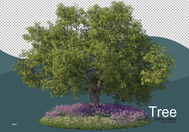 Un grande albero in mezzo al campo