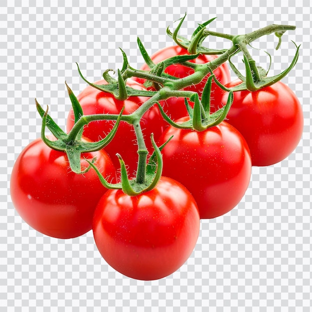 Un grappolo di pomodori rossi maturi su una vite verde che mostra freschezza e colori vivaci adatti per la cottura o le insalate