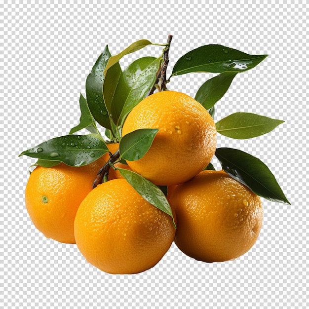 Un gruppo di mandarino fresco isolato su sfondo bianco