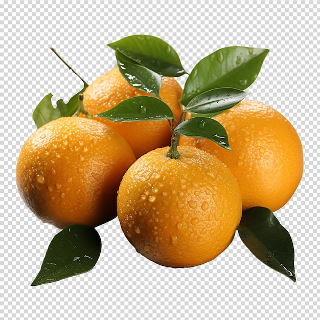 Un gruppo di mandarino fresco isolato su sfondo bianco