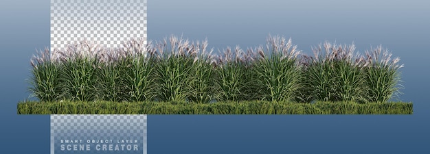 Un'immagine di rendering 3d di un sacco di fiori di erba sul campo di erba verde