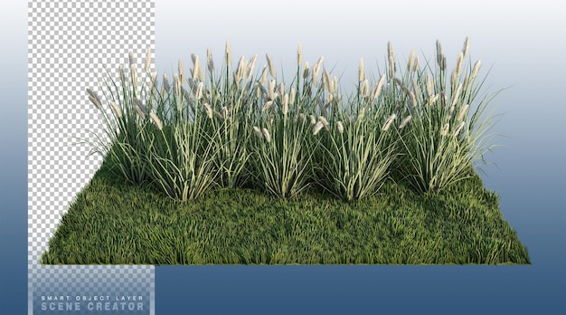 Un'immagine di rendering 3d di un sacco di fiori di erba sul campo di erba verde