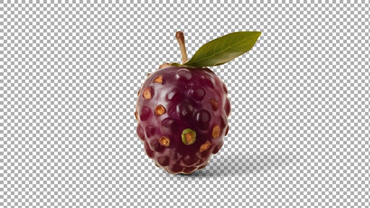 PSD un lampone viola con una foglia verde