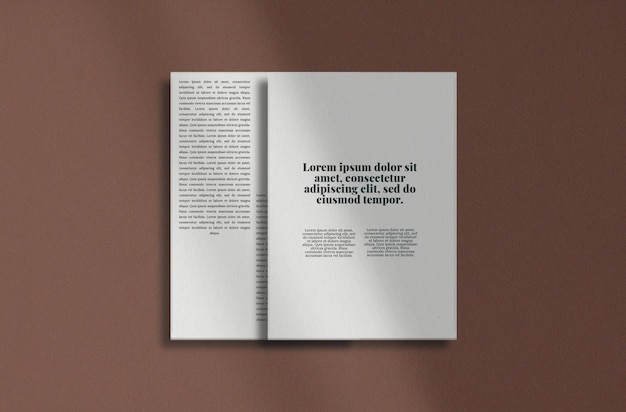 Un libro con il titolo "la parola" sopra "