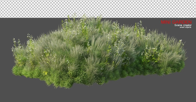 Un piccolo giardino con tante piante e fiori