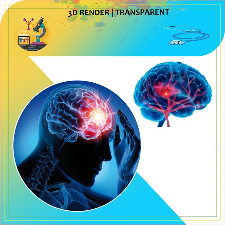 un poster per un modello 3D di un cervello umano