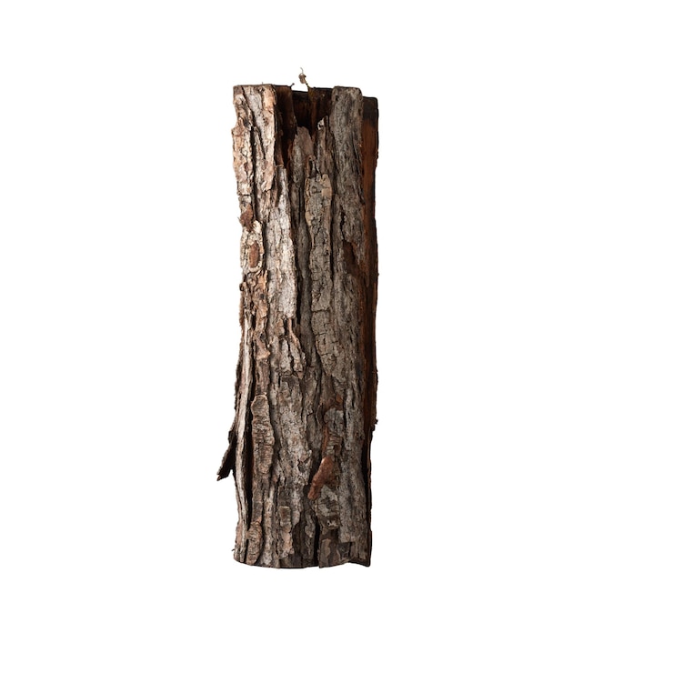 PSD un primo piano di un singolo pezzo di legno naturale isolato