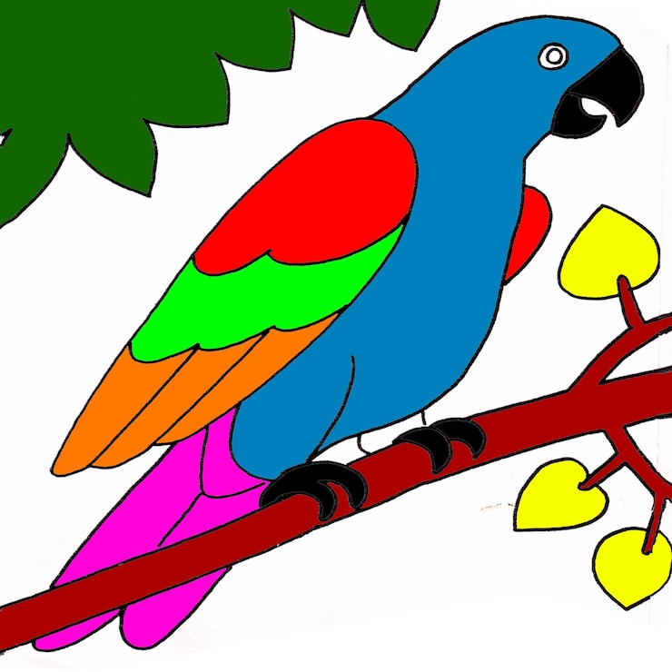PSD un uccello colorato su un ramo con un disegno di un pappagallo su di esso