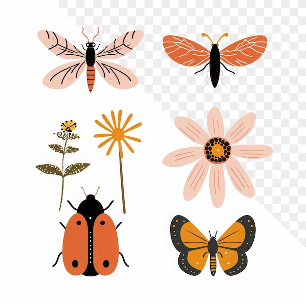 una collezione di insetti colorati tra cui una delle farfalle