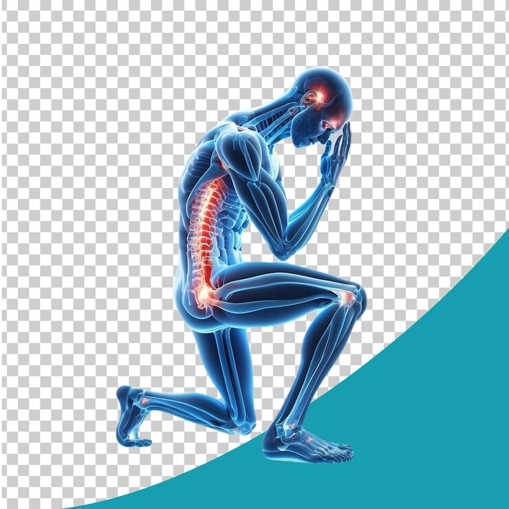 PSD una figura con uno sfondo blu che dice anatomia umana
