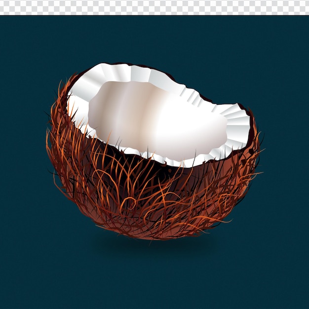 Una noce di cocco 3d con sopra un guscio bianco