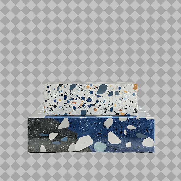 PSD una raccolta di conchiglie marine su uno sfondo grigio con uno bianco e blu