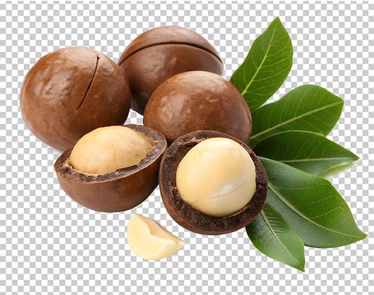 PSD una serie di noci e una foglia con parte tagliata isolata su sfondo trasparente png e psd