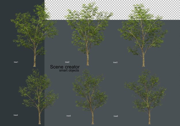 Una varietà di alberi con poche foglie