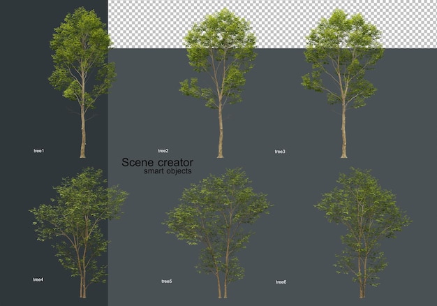 Una varietà di alberi con poche foglie