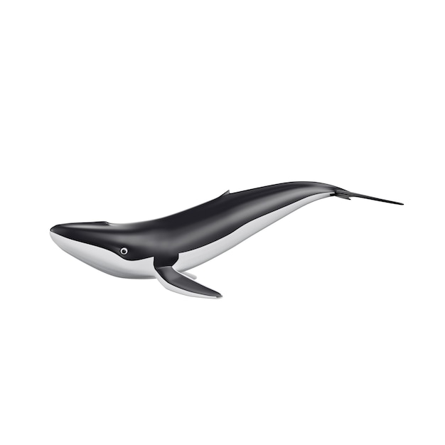 Unterwassertiere 3D-Illustration