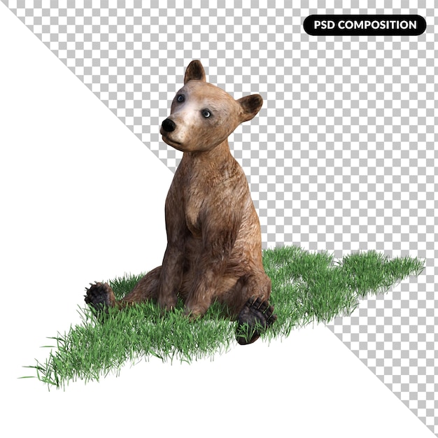 Urso 3d isolado