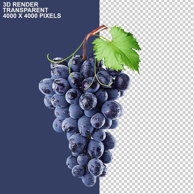 Uva nera Frutta di pesca Uva a grappolo Uva rossa Uva a grappolo Uva a grappolo