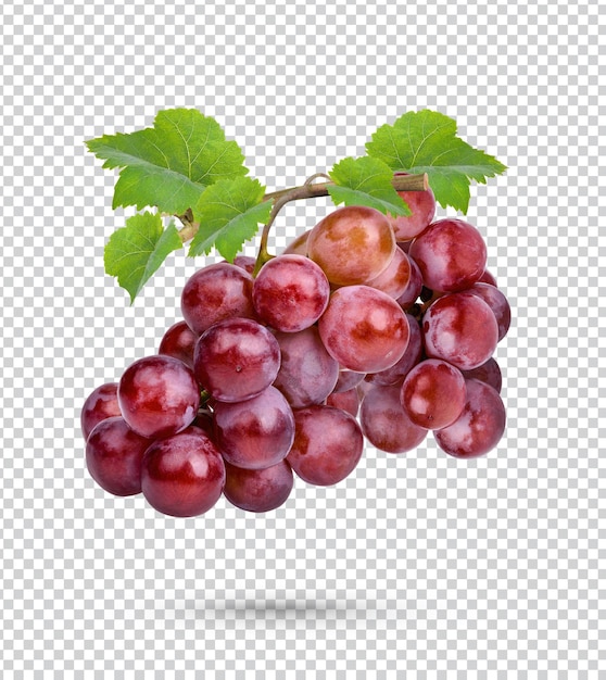 Uva roja fresca con hojas aisladas psd premium