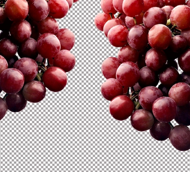 Uva rossa isolata su uva bianca