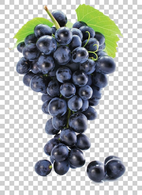 Uva rossa succosa