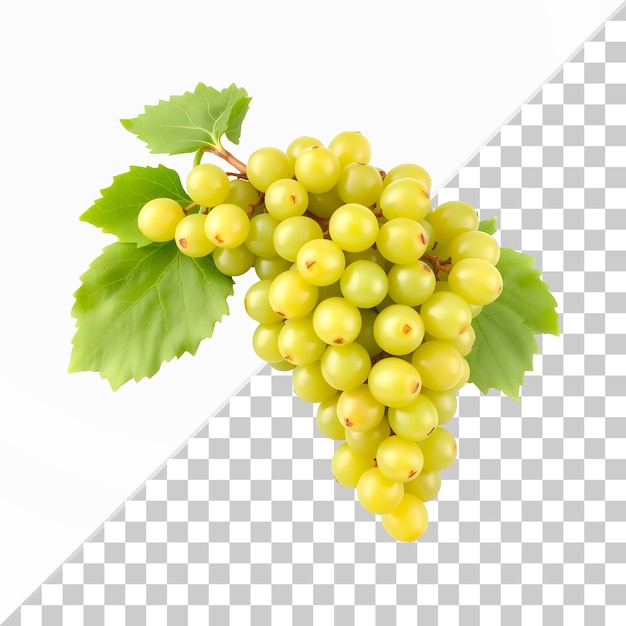 Uva verde fresca con foglie su uno sfondo trasparente