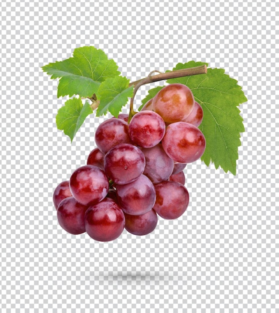 PSD uva vermelha fresca com folhas isoladas premium psd