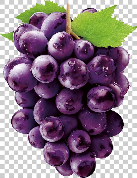 Uva viola succosa