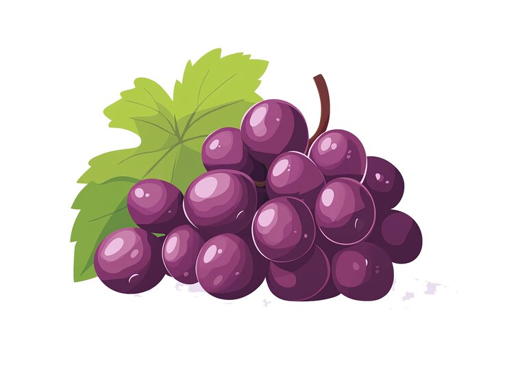PSD uvas de calidad hd