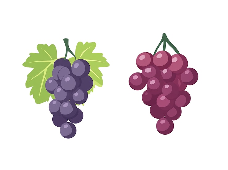 PSD uvas de qualidade hd