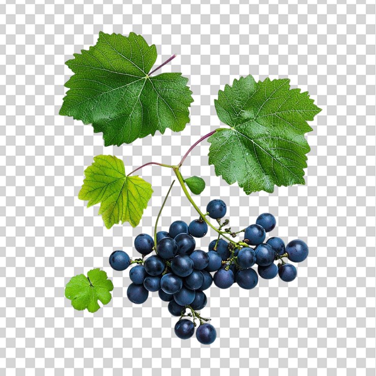 PSD las uvas se dejan aisladas sobre un fondo transparente