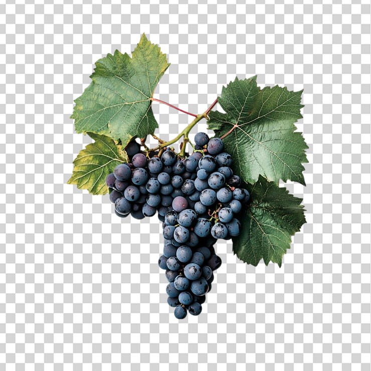 PSD las uvas se dejan aisladas sobre un fondo transparente