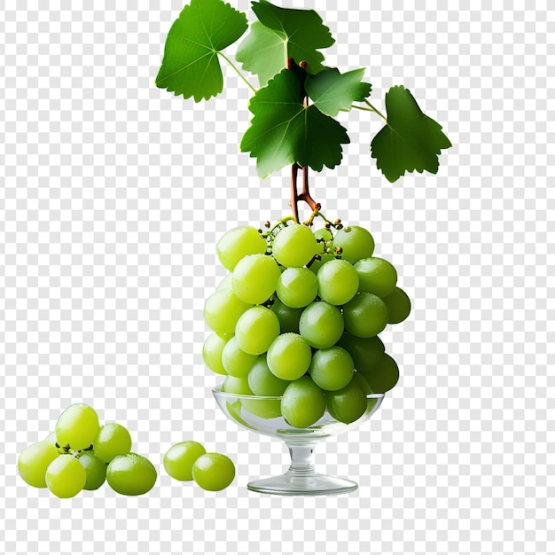 Uvas de vino verdes frescas png aisladas sobre un fondo transparente psd premium