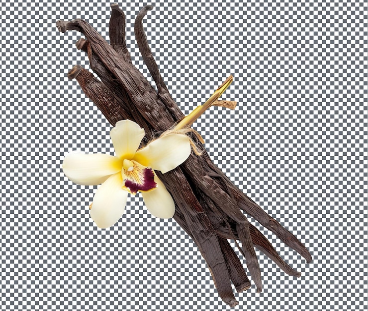PSD vanilla natural aislada sobre un fondo transparente