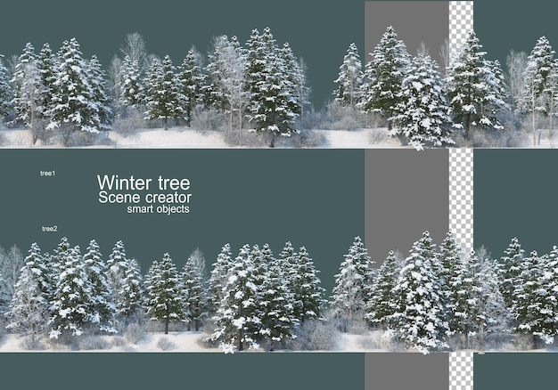 Vari alberi e piante in inverno