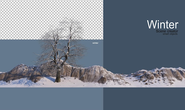 vari alberi in inverno