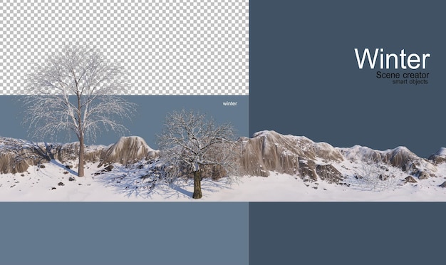 vari alberi in inverno