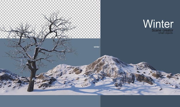 vari alberi in inverno