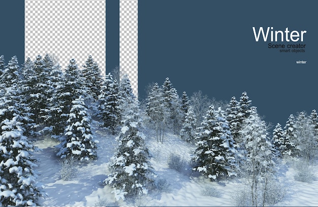 vari alberi in inverno