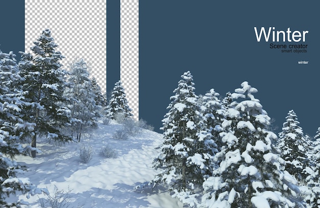 vari alberi in inverno