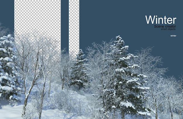 vari alberi in inverno