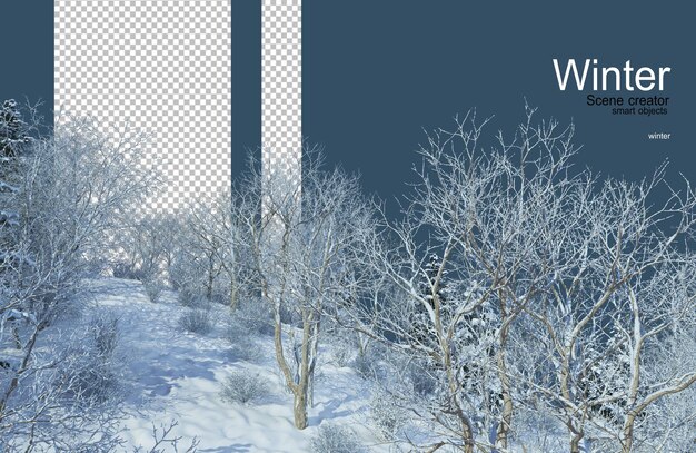 vari alberi in inverno