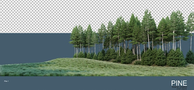 Vari ambienti di pinete